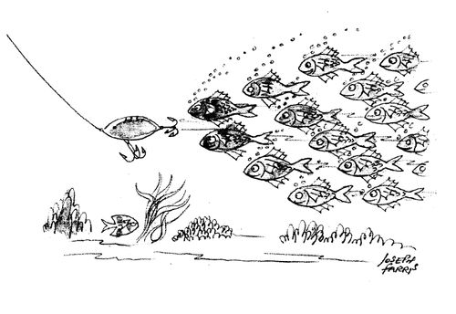 Taking the bait.