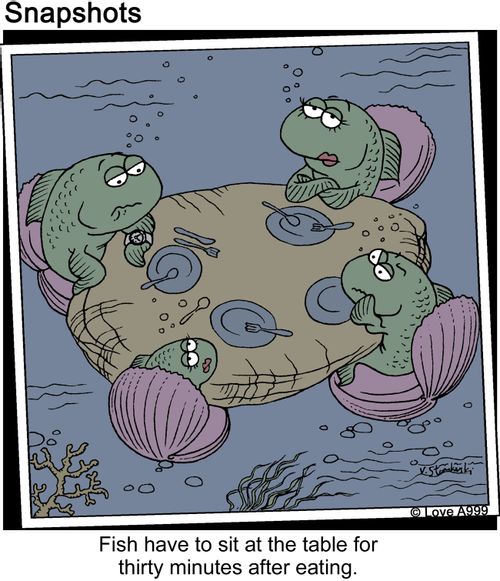 Fish have to sit at the table for thirty minutes after eating.