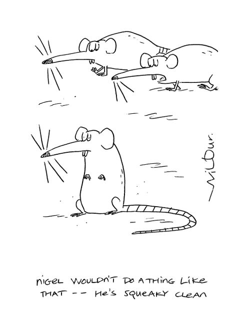 'Nigel wouldn't do a thing like that - he's squeaky clean.'