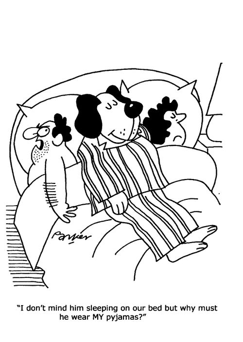 'I don't mind him sleeping on our bed but why must he wear MY pyjamas?'