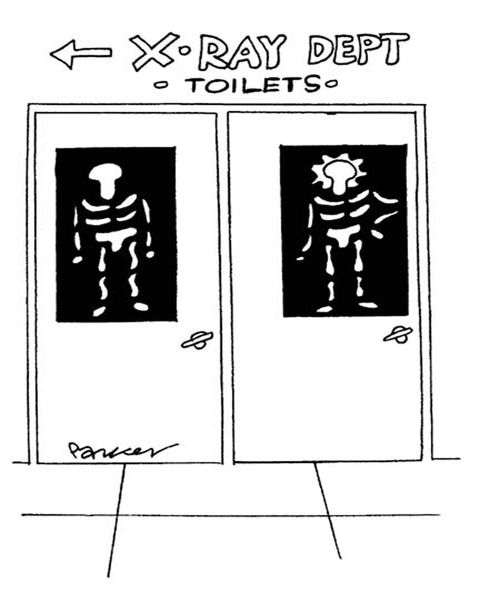 X-Ray toilets.