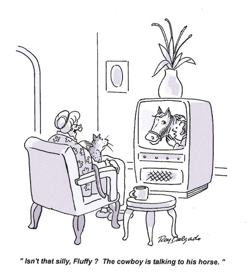 'Isn't that silly, Fluffy. The cowboy is talking to his horse.'