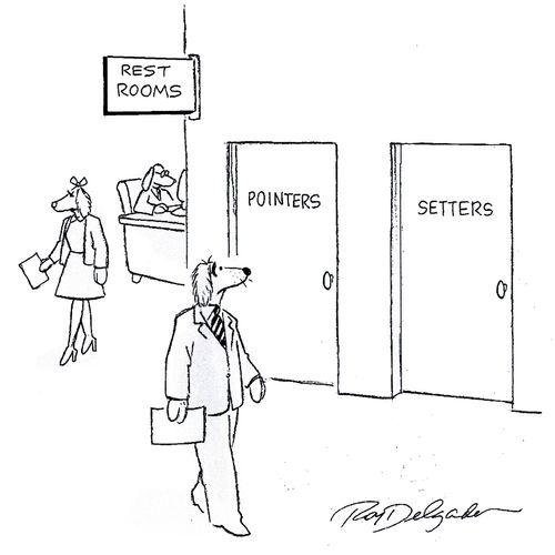 Dog rest rooms: pointers and setters