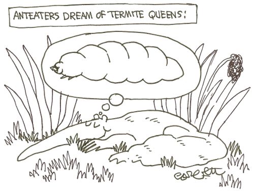 Anteaters Dream of Termite Queens.