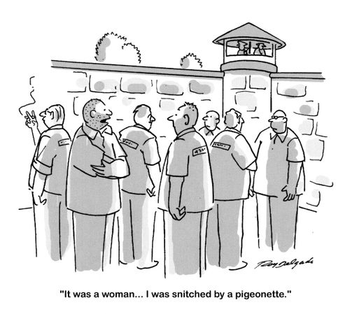 'It was a woman. . .I was snitched by a pigeonette.'