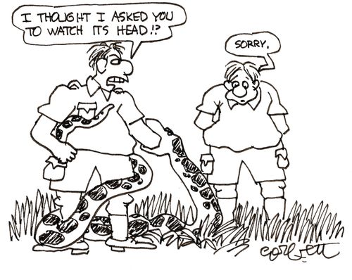 'I thought I asked you to watch its head!?'