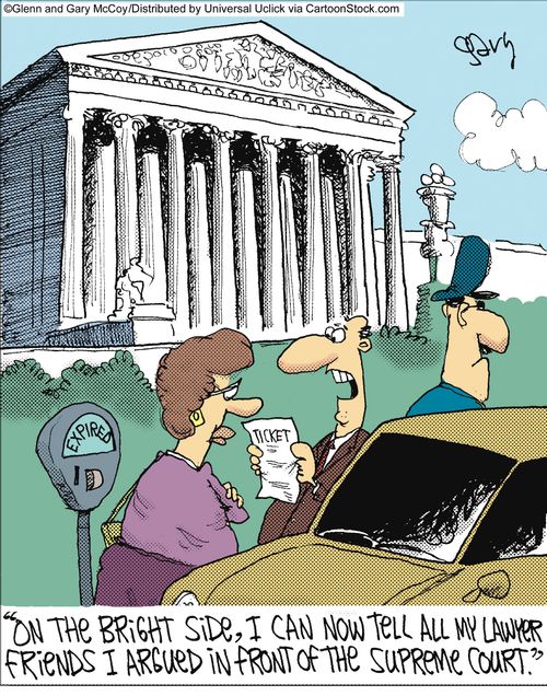 'On the bright side, I can now tell all my lawyer friends I argued in front of the supreme court.'
