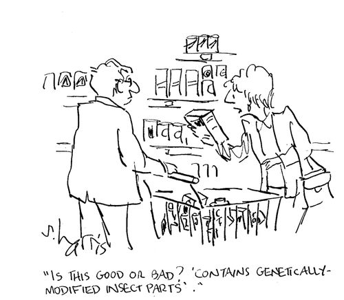 'Is this good or bad? 'Contains genetically-modified insect parts.'