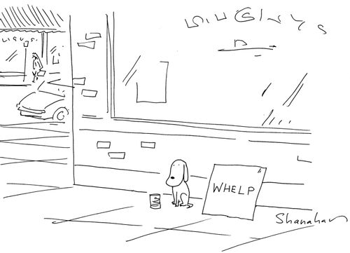 'Whelp.'
