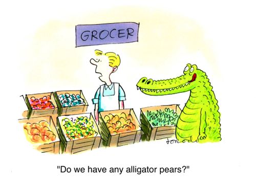 'Do we have any alligator pears?'