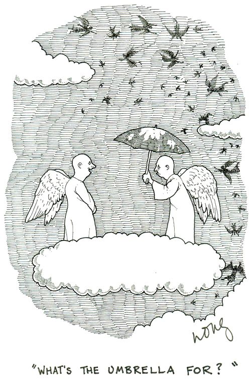 'What's the umbrella for?'