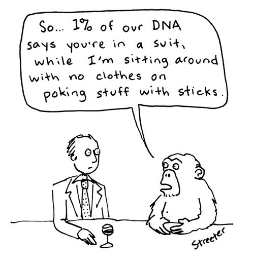 'So...1% of our DNA says you're in a suit, while I'm sitting around with no clothes on piking stuff with sticks.'