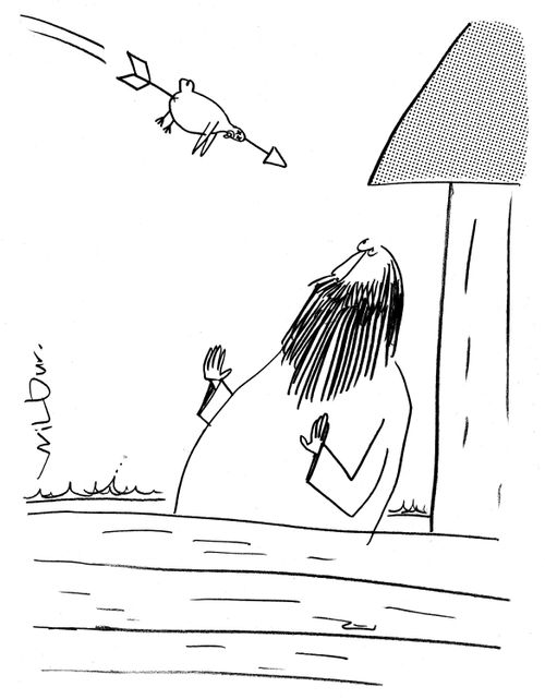 Bird Messaging
