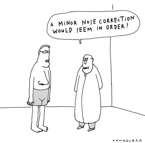'A minor nose correction would seem in order!'