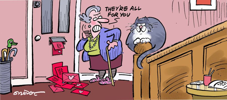 'They're all for you.'
