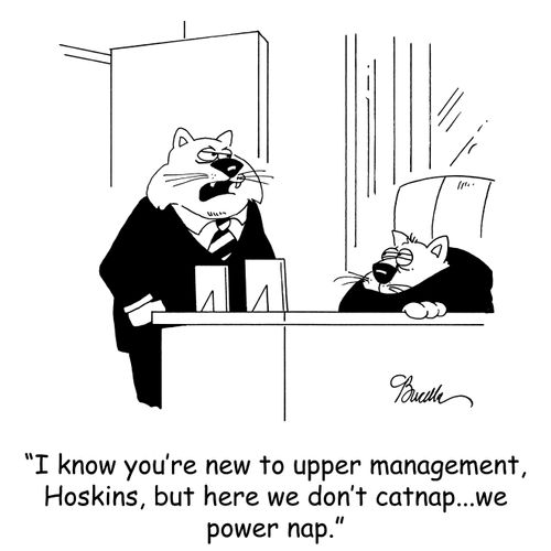 'I know you're new to upper management, Hoskins, but here we don't catnap...we power nap.'