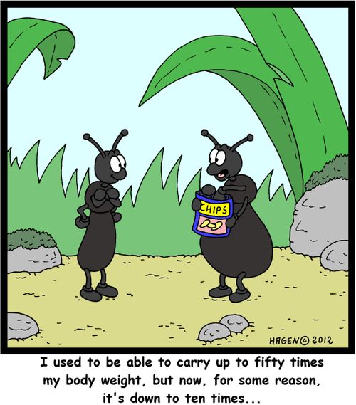 'I used to be able to carry up to fifty times my body weight, but now, for some reason, it's down to ten times...'