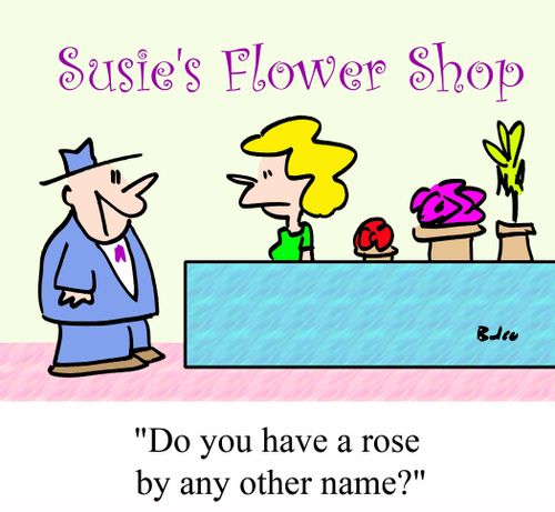 SUSIE'S FLOWER SHOP, 'Do you have a rose by any other name?'