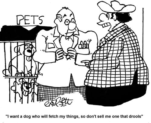'I want a dog who will fetch my things, so don't sell me one that drools.'