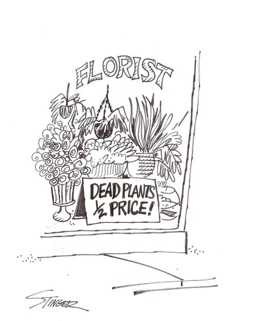 Florist - Dead Plants 1/2 Price!