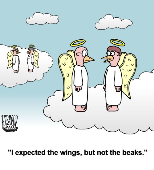 'I expected the wings, but not the beaks.'