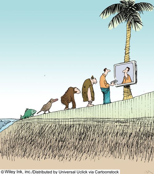 Evolution