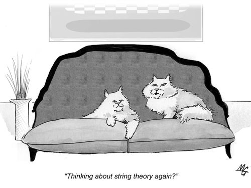 'Thinking about string theory again?'