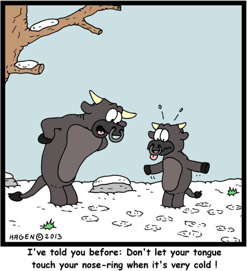 'I've told you before: Don't let your tongue touch your nose-ring when it's very cold!'