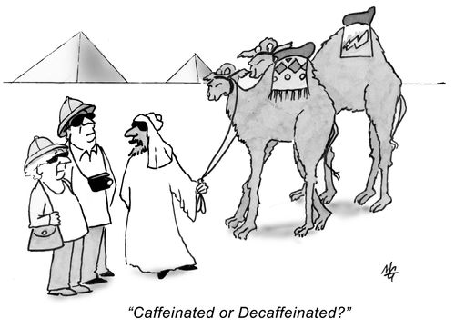 'Caffeinated or decaffeinated?'