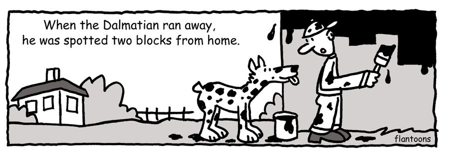 When the Dalmatian ran away, he was spotted two blocks from home.