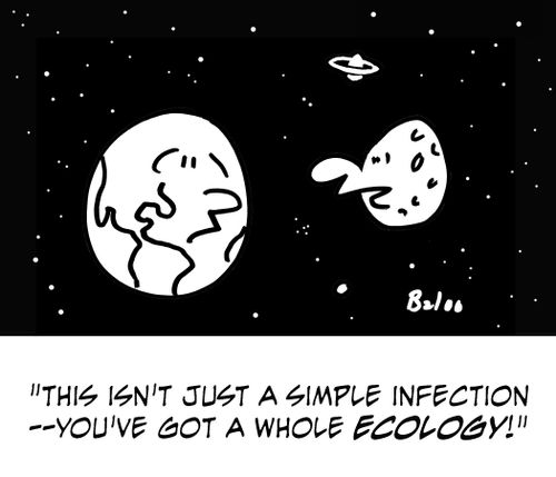This isn't just a simple infection -- you've got a whole ecology!