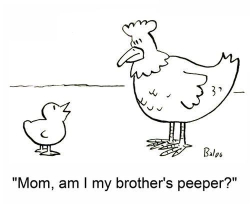 'Mom, am I my brother's peeper?'