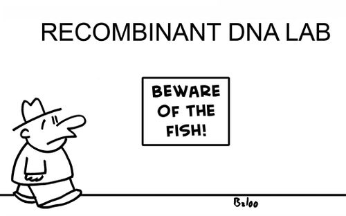 Recombinant DNA Lab.