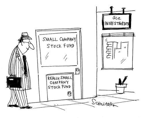 Small Company: Stock Fund
