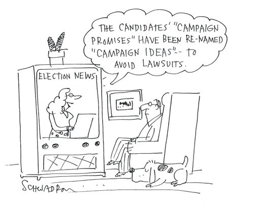 'The candidates campaign promises have been re-named campaign ideas to avoid lawsuits.'