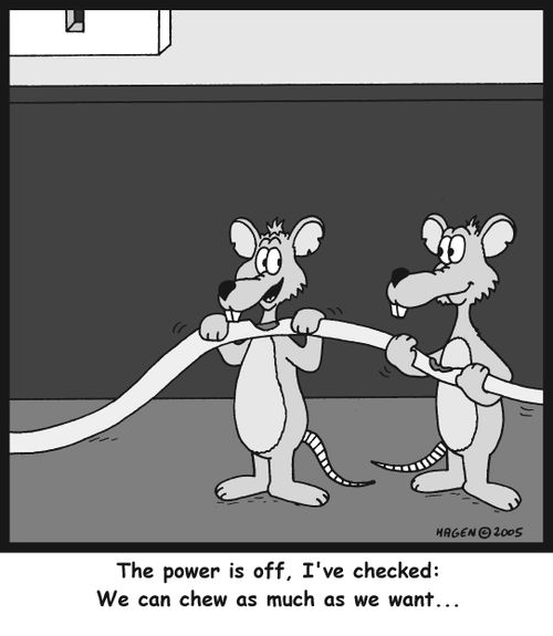 'The power is off, I've checked: We can chew as much as we want...'
