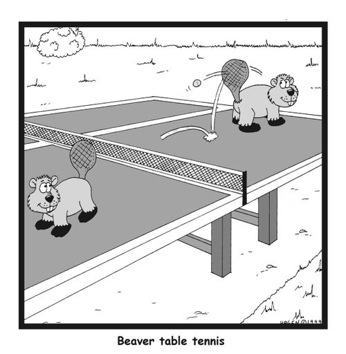 Beaver Table Tennis