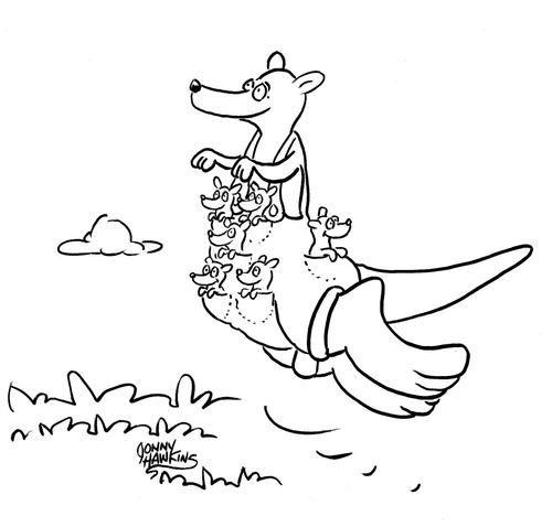 Kangaroo with multiple pockets for lots of children...