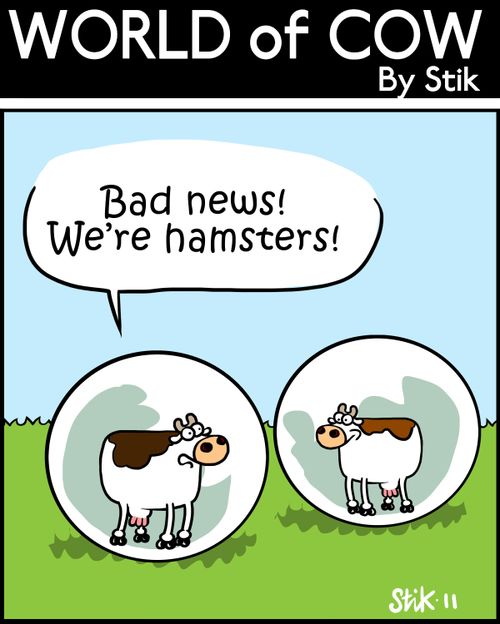 'Bad news! We're hamsters!'