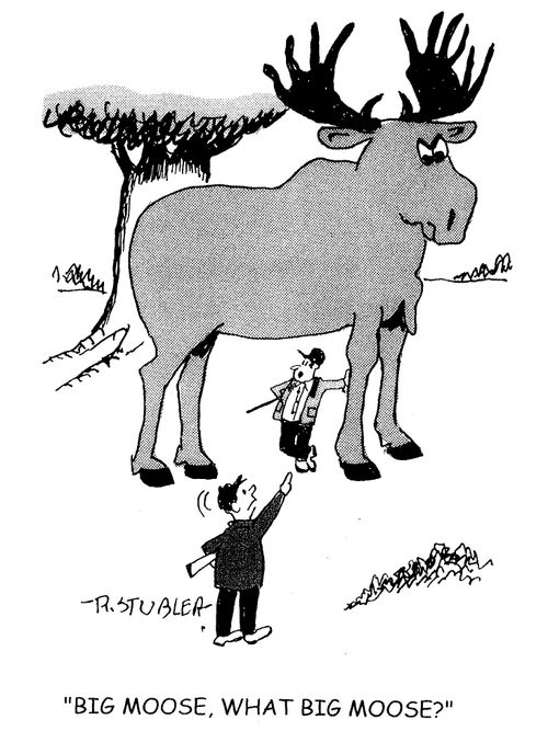 'Big moose, what big moose?'