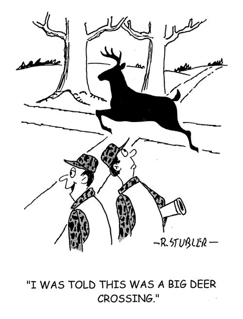 'I was told this was a big deer crossing.'