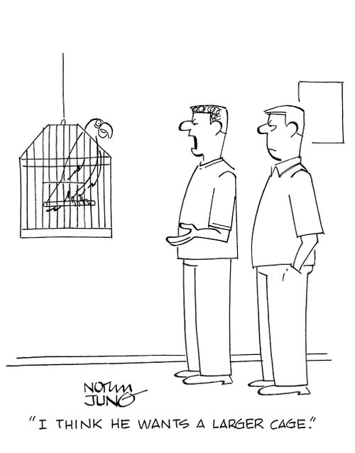 'I think he wants a larger cage.'