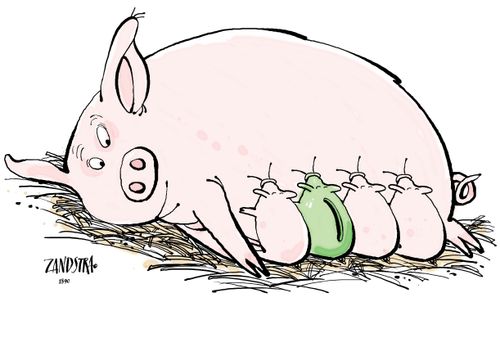 Piggy bank suckling with piglets.