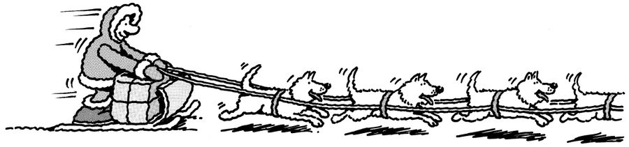 Sledge with huskies.