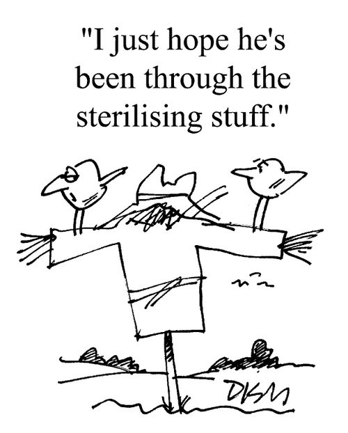 "I just hope he's been through the sterilising stuff."