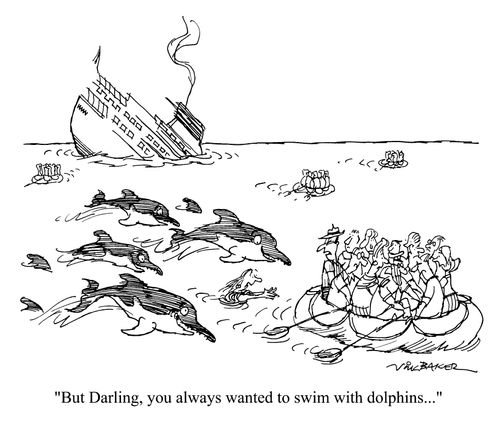 "But Darling you always wanted to swim with dolphins"