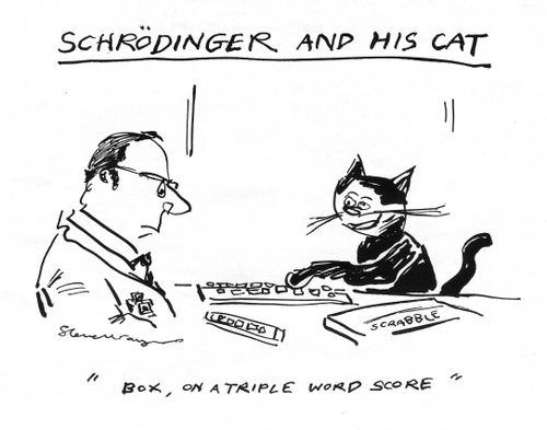 Schr?dinger's cat playing Scrabble.