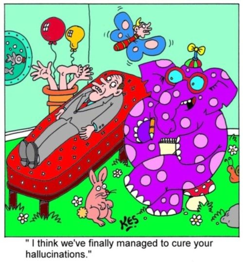 'I think we've finally managed to cure your hallucinations.'