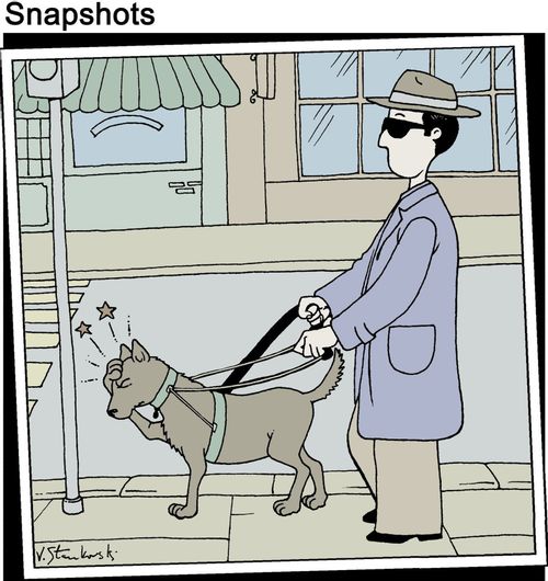 Seeing Eye Dog bumps into pole.