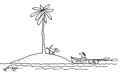 Dog relieving itself on a desert island.